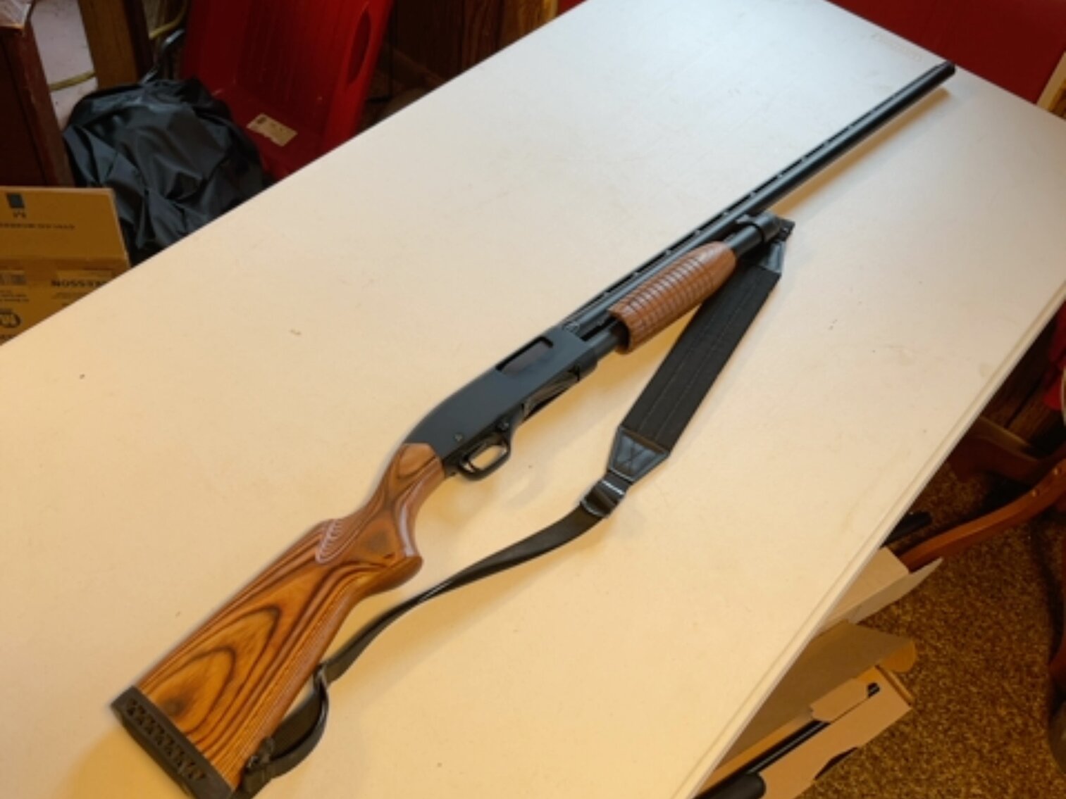 Gun