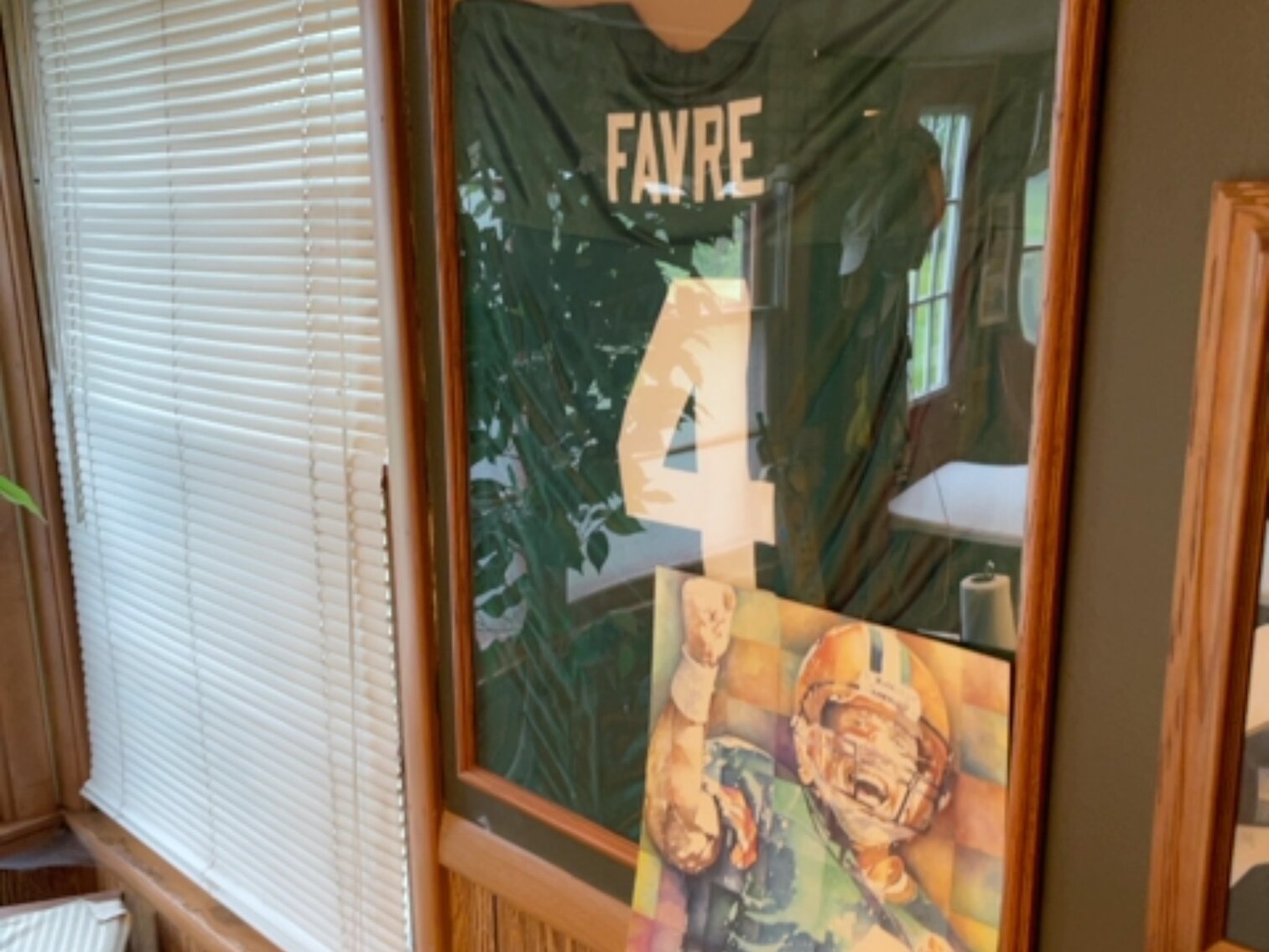 Favre Jersey