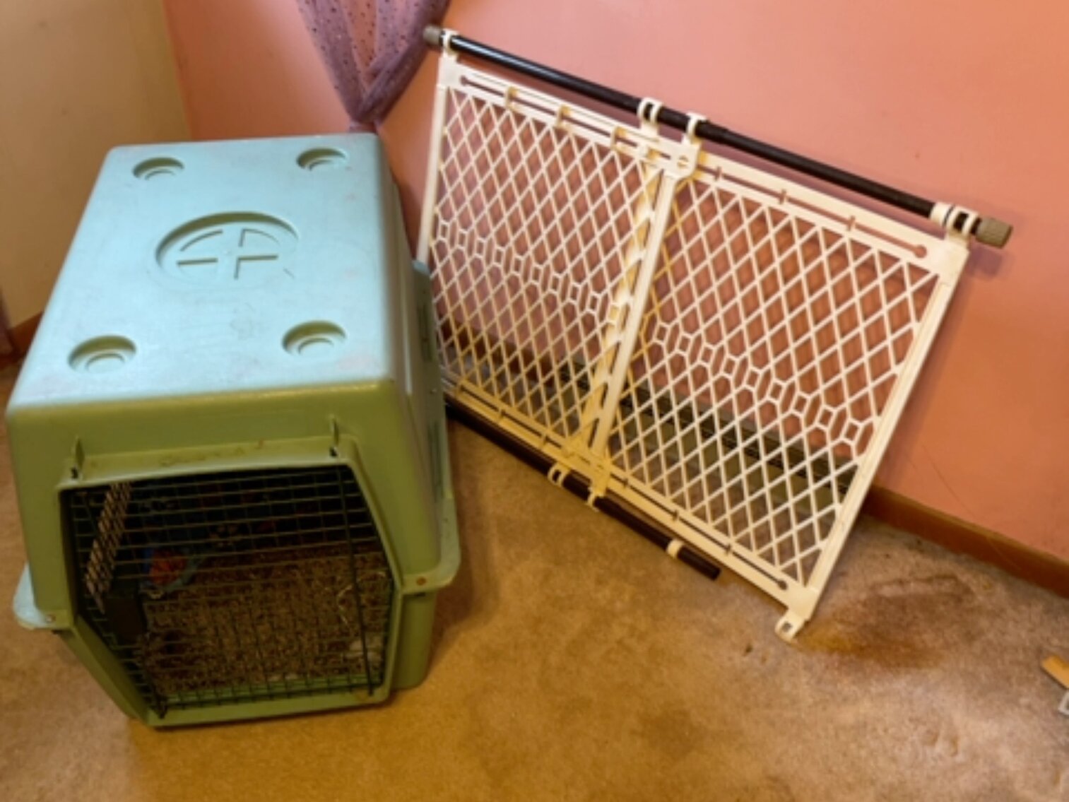 Pet Kennel and Gate