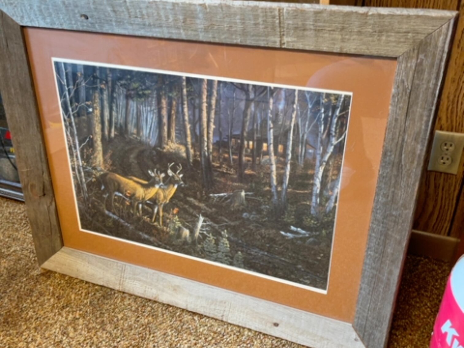 Framed Deer Picture