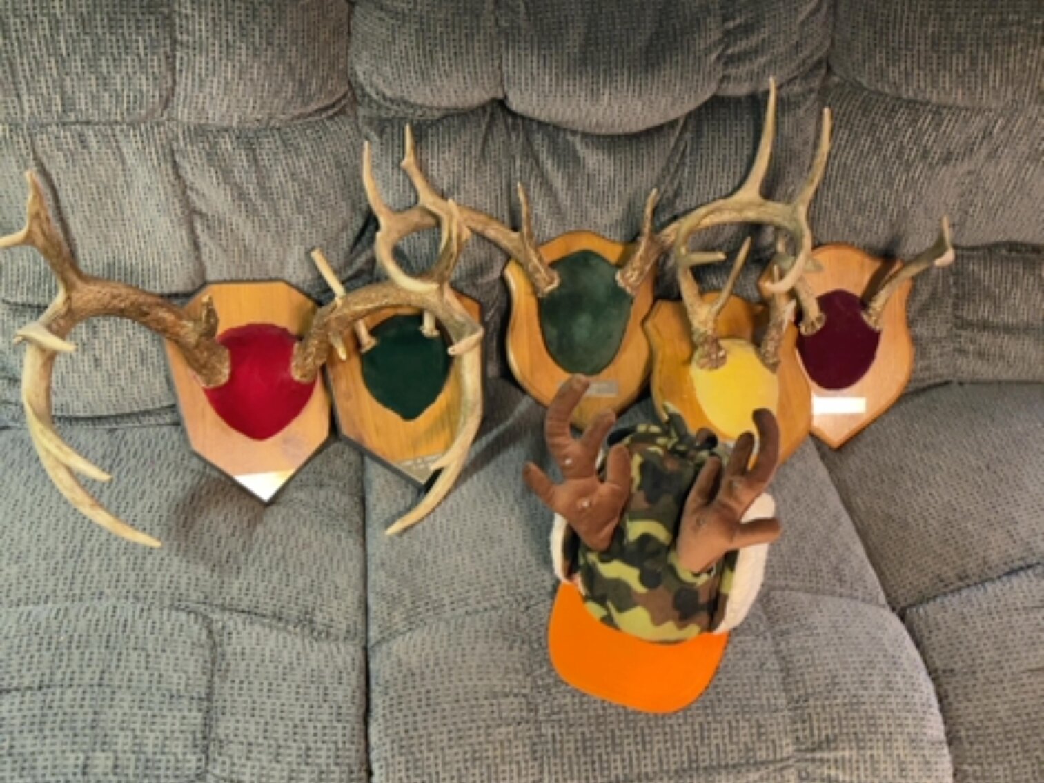 Antlers