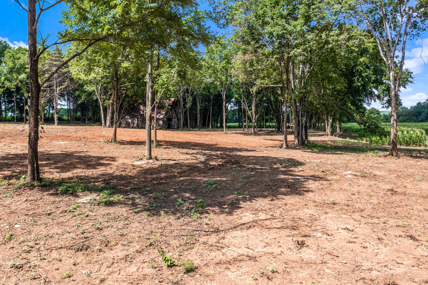 Image for 8773 Cainsville Pike, Lascassas