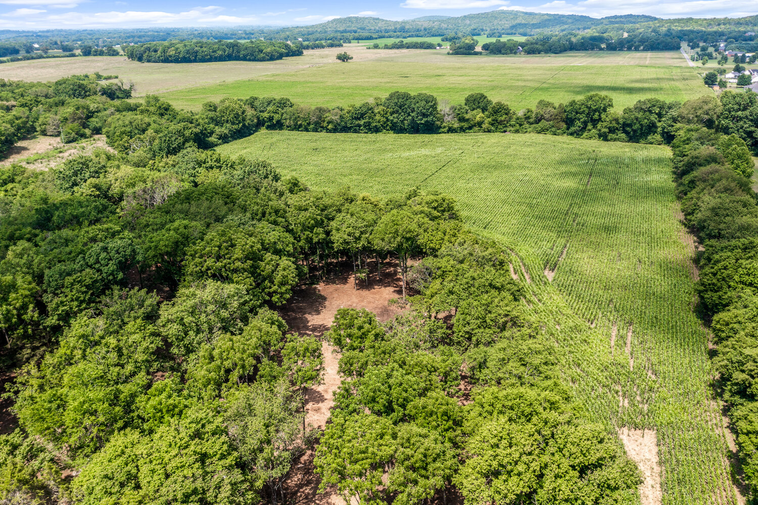 Image for 8773 Cainsville Pike, Lascassas