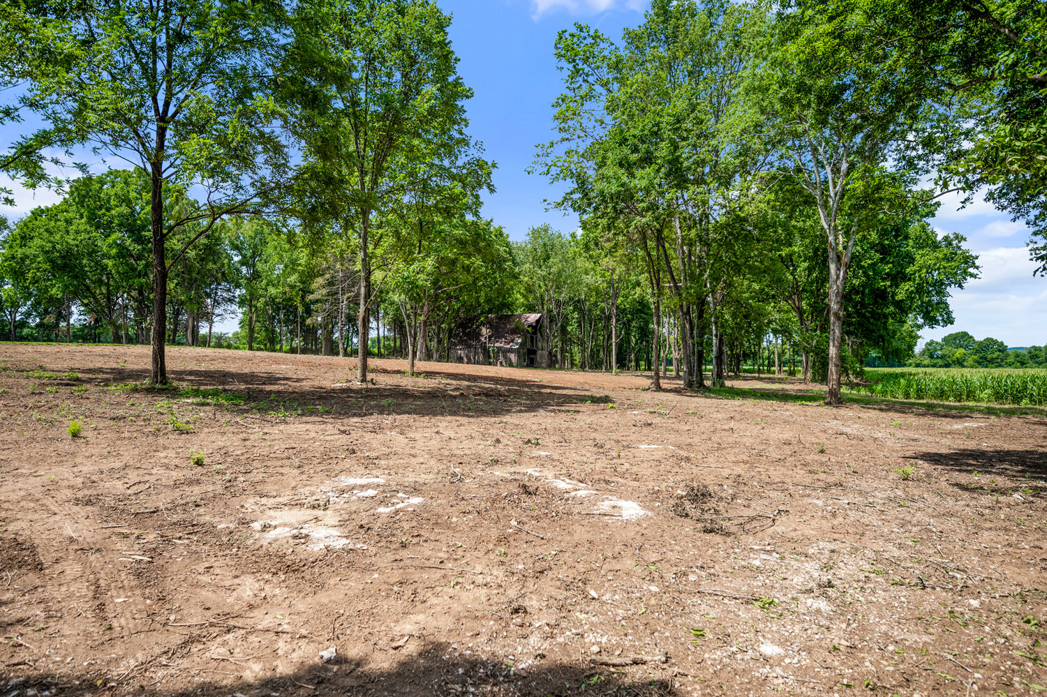 Image for 8773 Cainsville Pike, Lascassas