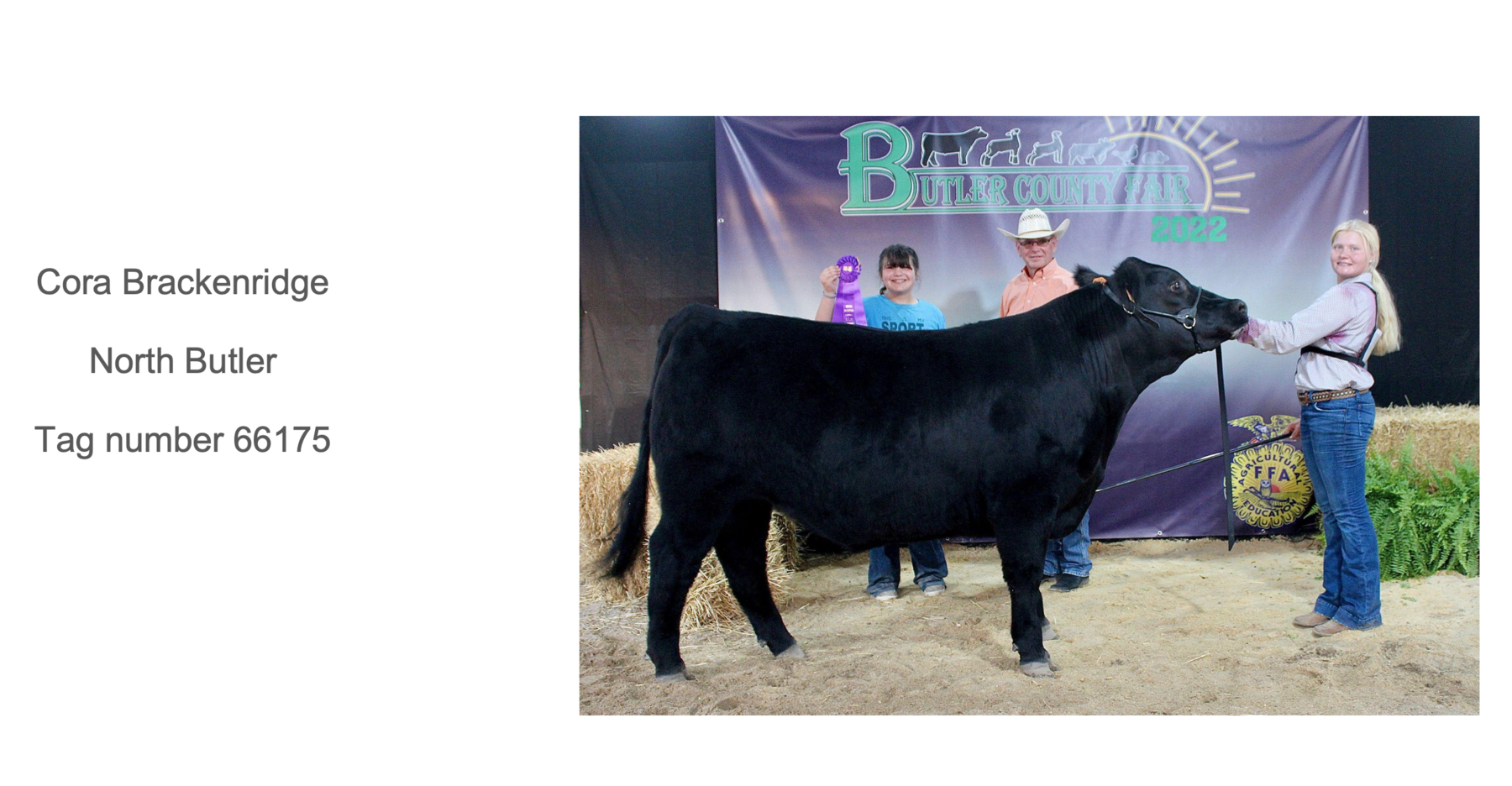 2022 Butler County Fair Livestock Auction photo 1