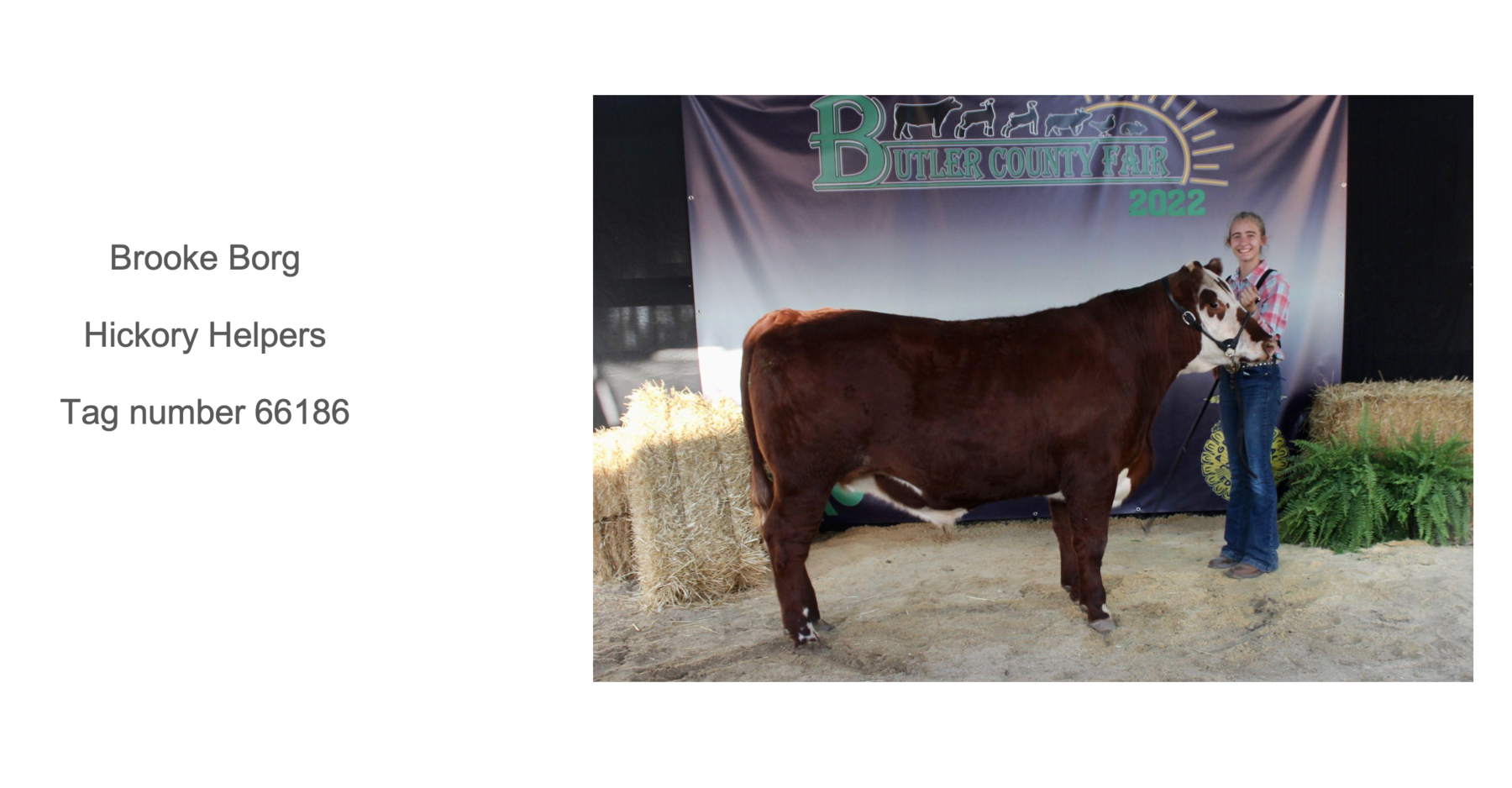 2022 Butler County Fair Livestock Auction photo 2