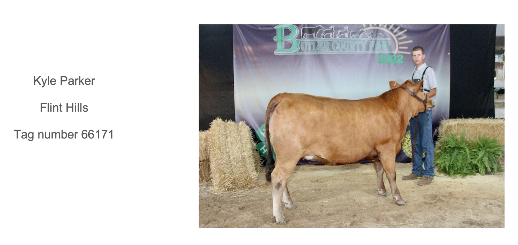 2022 Butler County Fair Livestock Auction photo 3