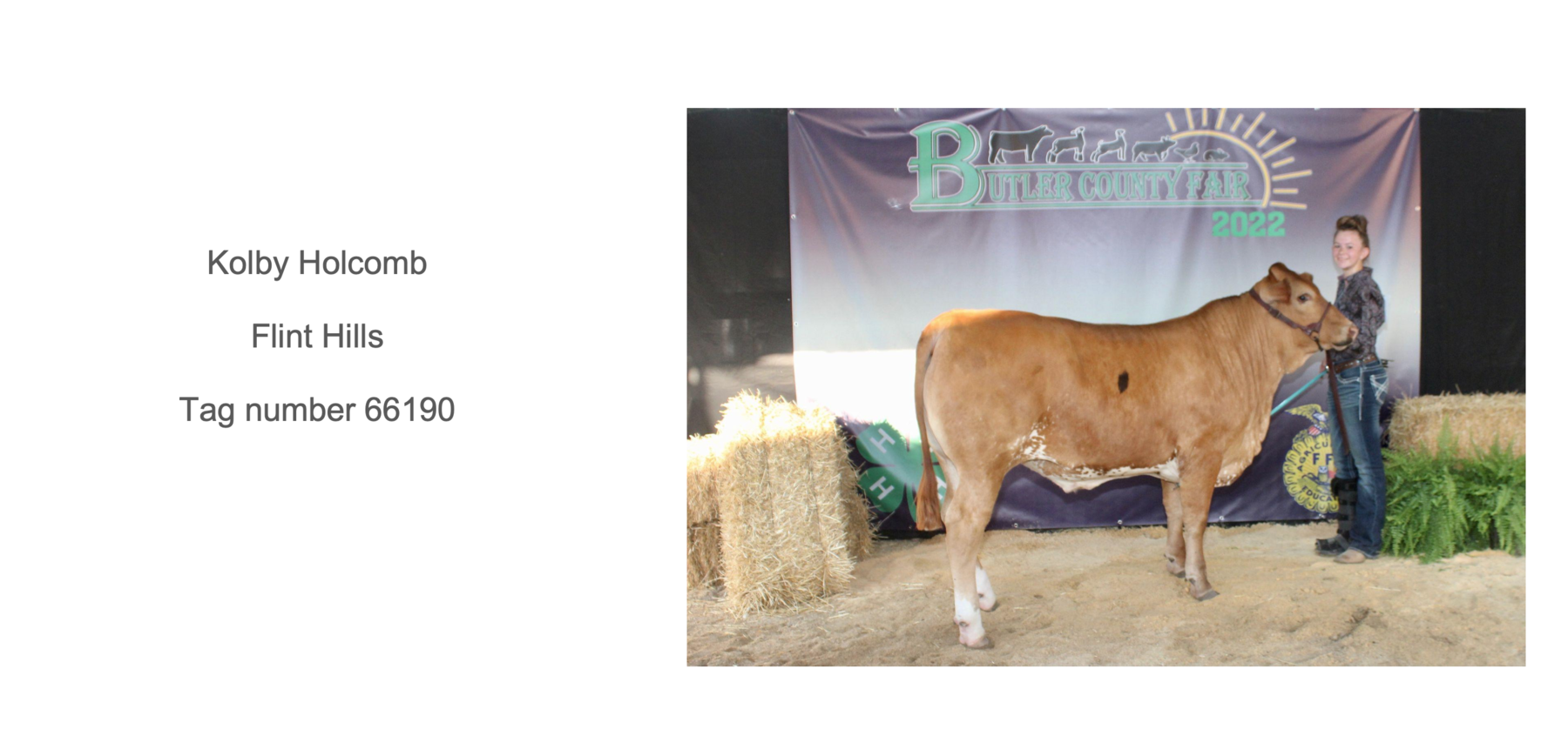 2022 Butler County Fair Livestock Auction photo 4