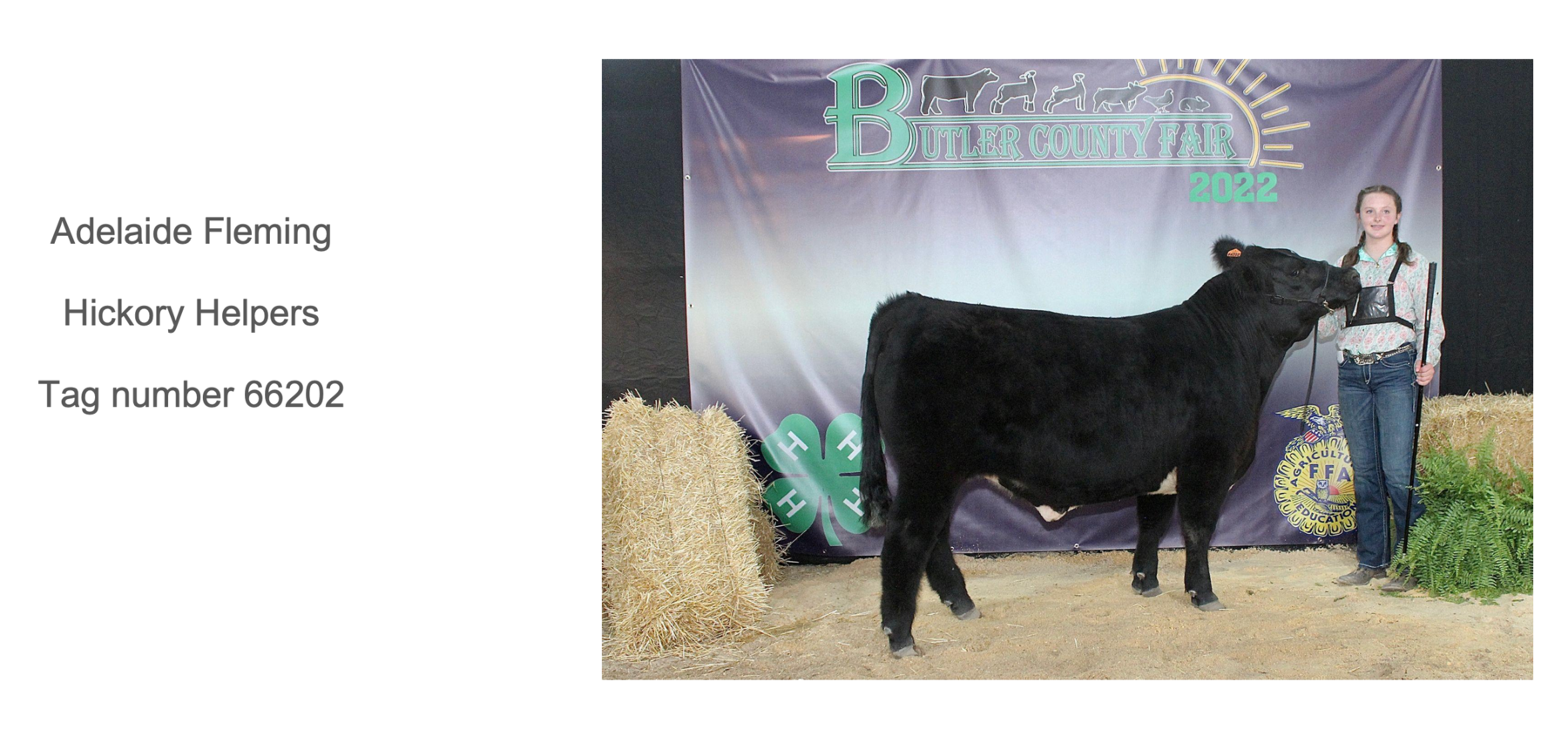 2022 Butler County Fair Livestock Auction photo 5