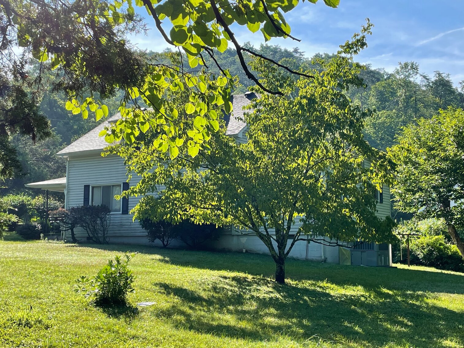 Image for SOLD $50,050 - 3 Bedroom Cape Cod Selling to the Highest Bidder