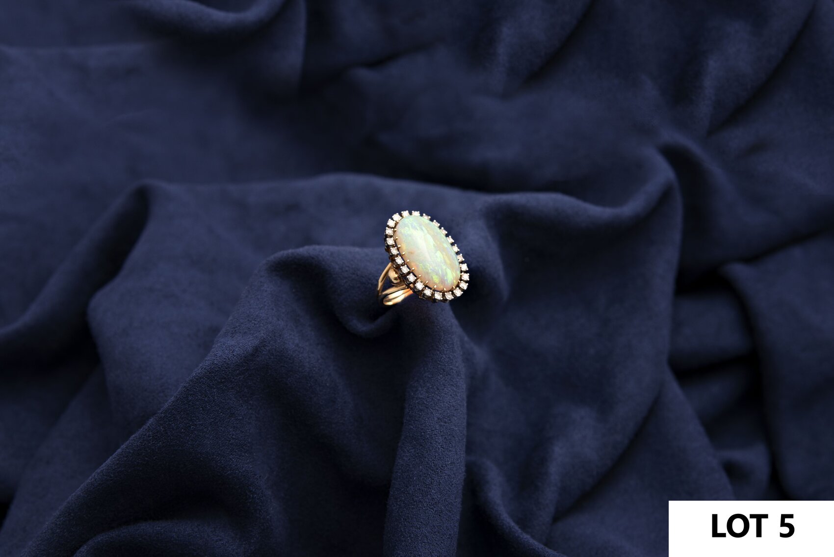 Image for Florida Division of Unclaimed Property Auction