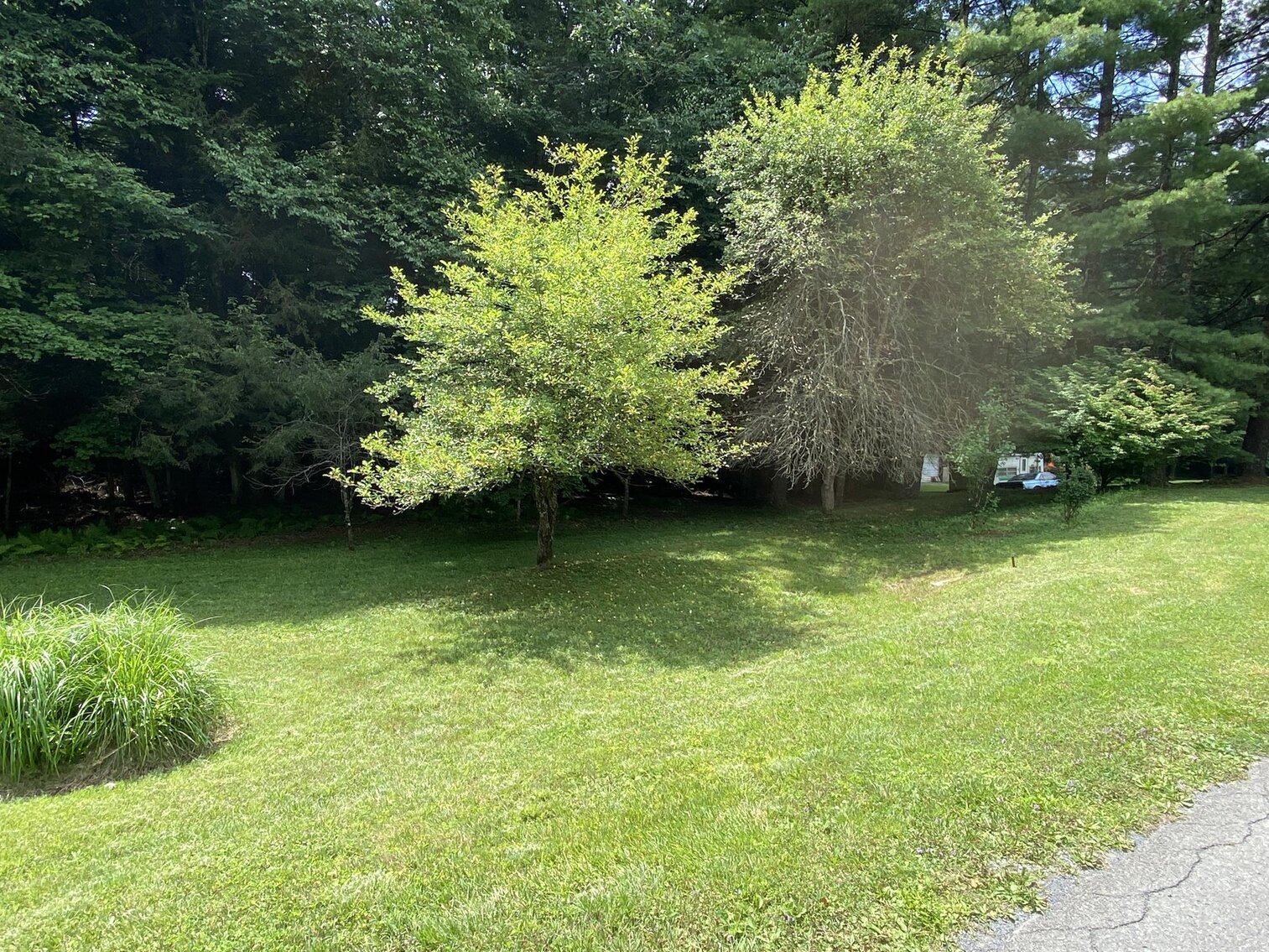 Image for SOLD $110,000 - Home on 3 Acres Minutes from Summersville Lake Selling to the Highest Bidder