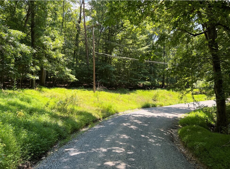 Clarke County Sale of Tax Delinquent Real Estate