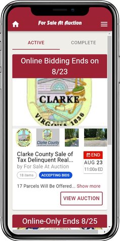 Image for Clarke County Sale of Tax Delinquent Real Estate