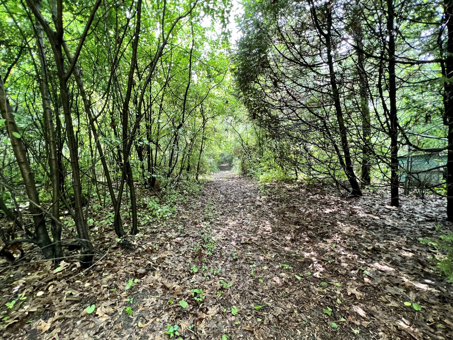 Image for 7035 Hill Avenue, Holland, Ohio 43528