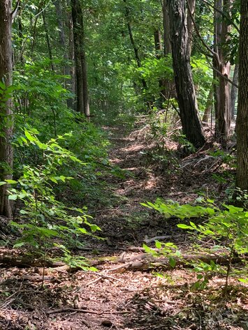 Image for 0 Bradley Creek Road, Lascassas