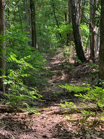 Image for 0 Factory Road, Murfreesboro