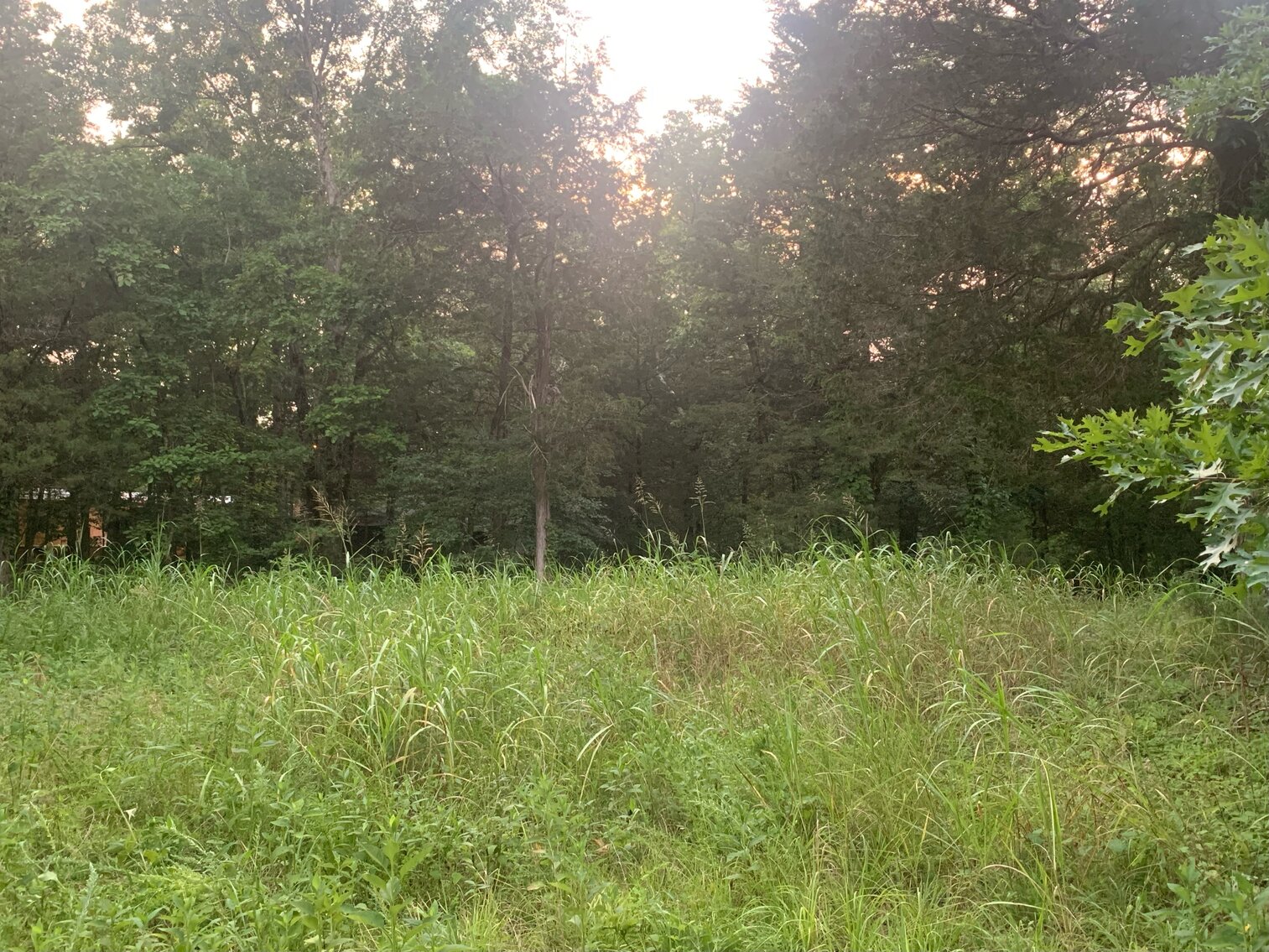 Image for 0 Factory Road, Murfreesboro