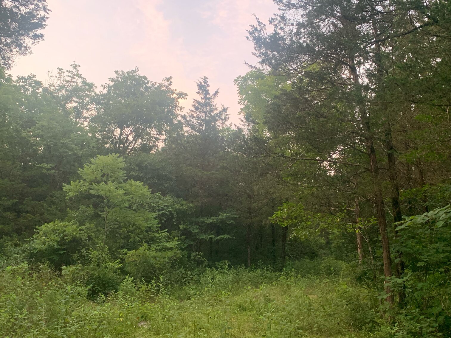 Image for 0 Factory Road, Murfreesboro