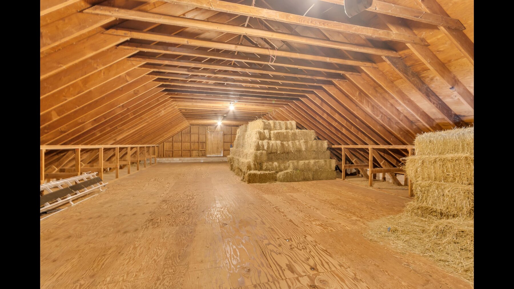 Image for Seller Ordered Online Auction - 55.92 +/- Acres with 3BR Farmhouse and Outbuildings in Lawrence Township