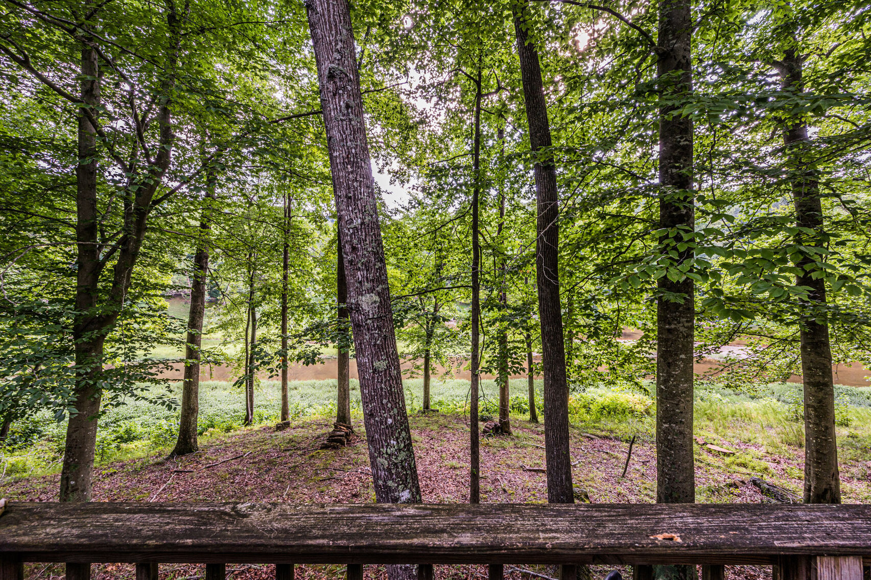 Image for 1820 Bradley Landing Lane, Dunmor, KY