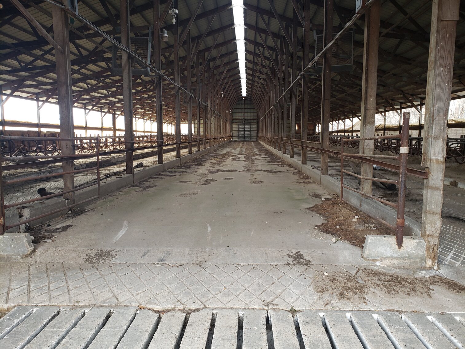 Image for 26+/- Acres in Southern Holt County, NE