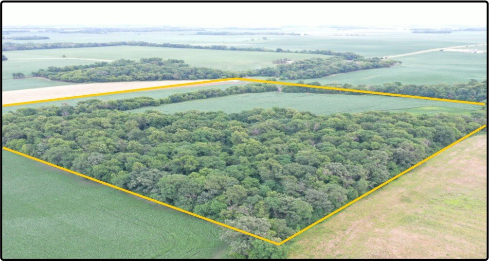 Parcel 2 Le Sueur Co., MN 40.00 Ac., m/l (190012802)