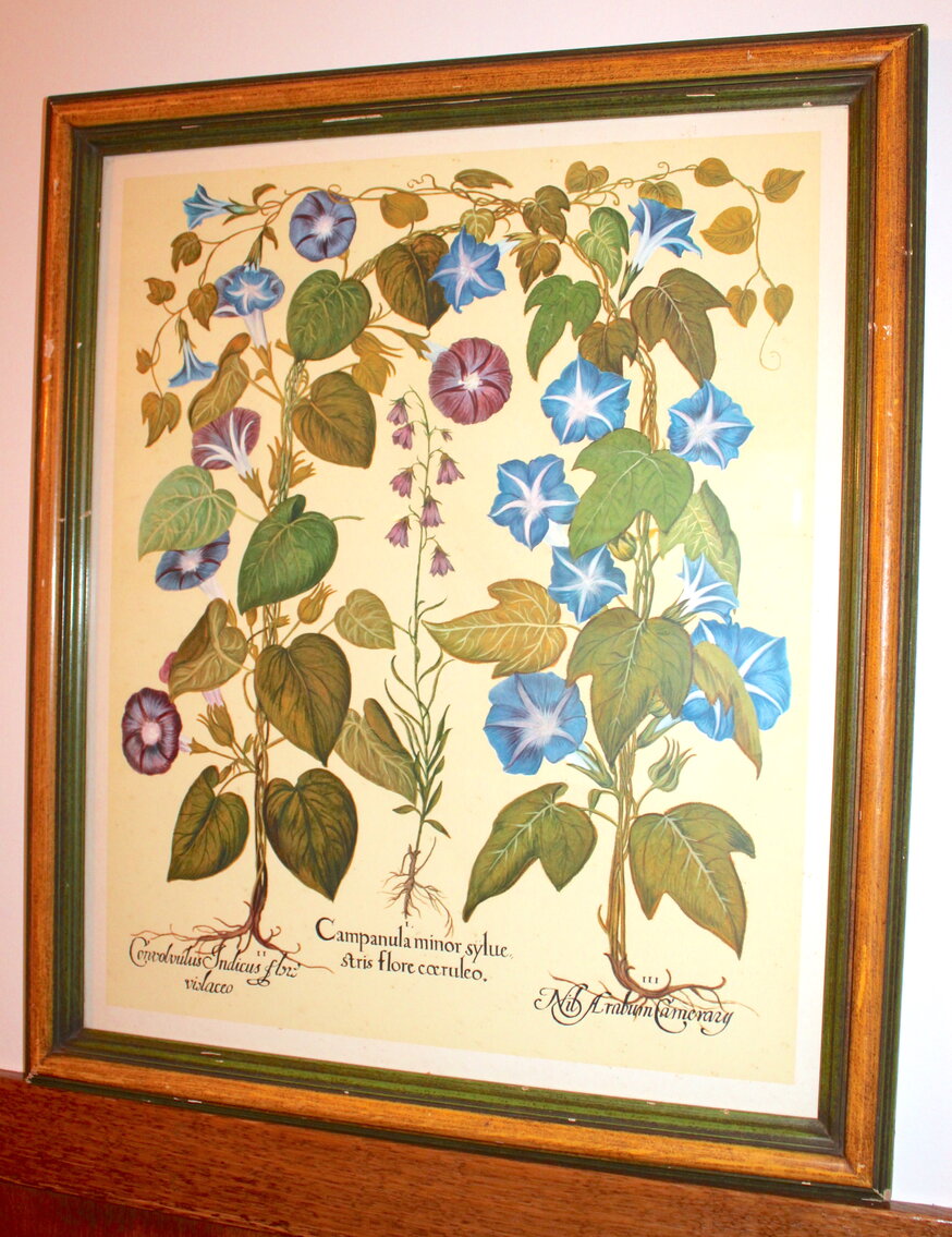 Image for EMERGENCY MEGA 2-RING ESTATE AUCTION