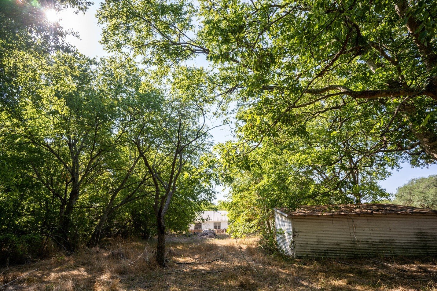 Image for 110 Carmine Cemetery Road, Carmine, TX - Fayette County