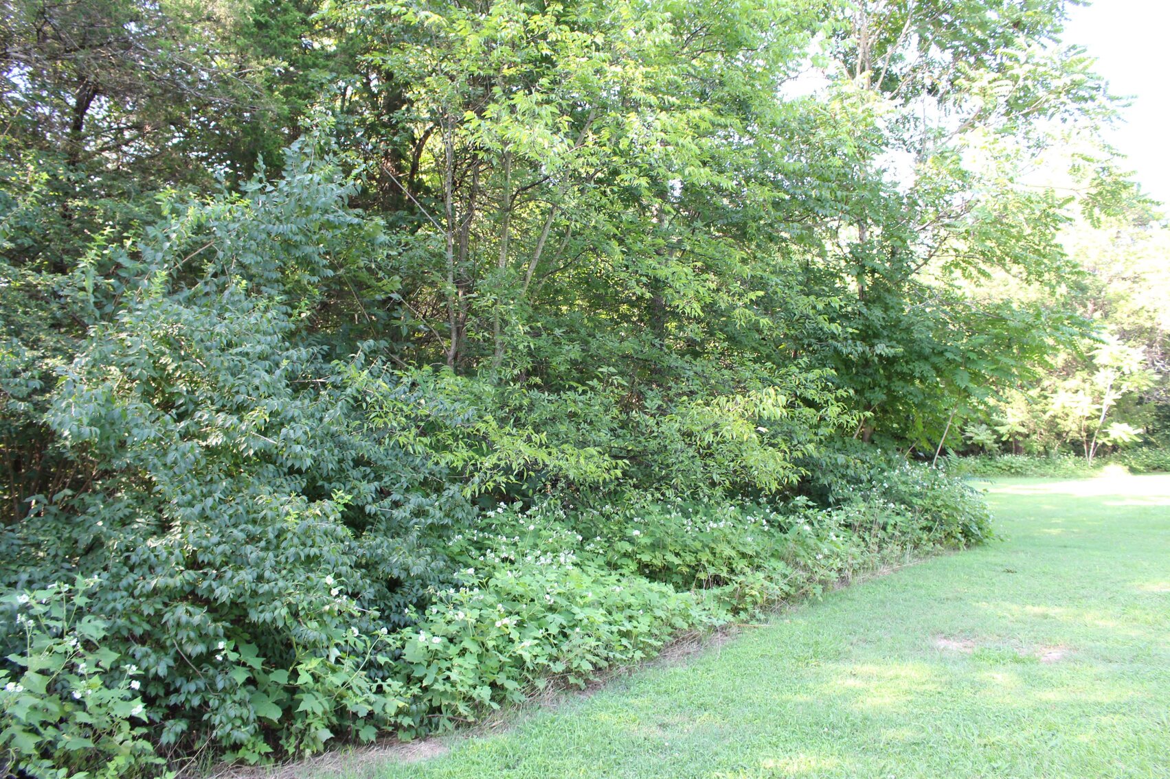 Image for 1171 East Jefferson Pike, Murfreesboro