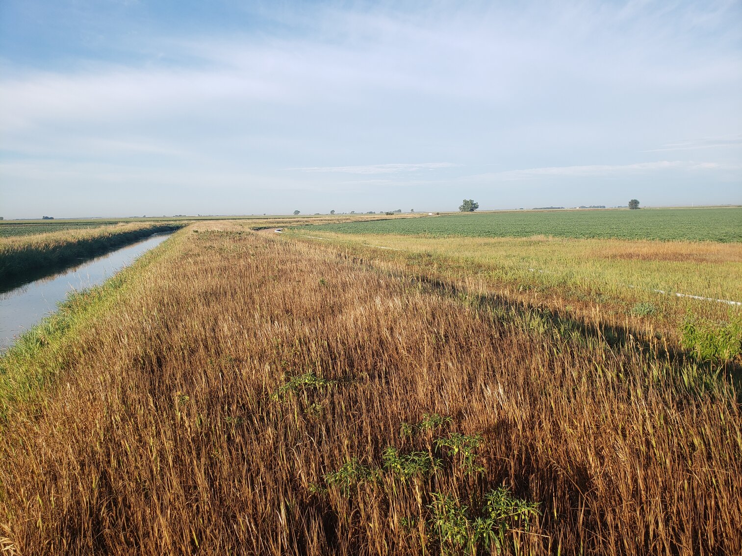 Image for 107.53+/- Acres in Brown County, NE