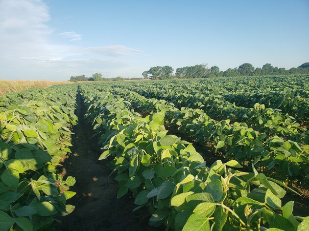 Image for 107.53+/- Acres in Brown County, NE