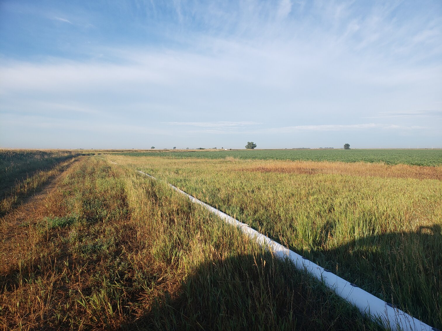 Image for 107.53+/- Acres in Brown County, NE