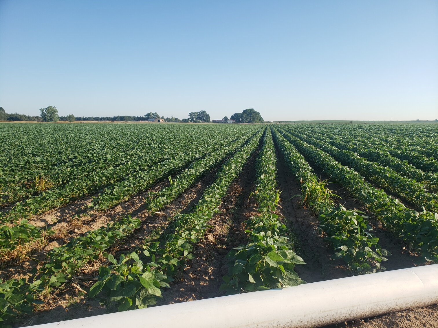 Image for 107.53+/- Acres in Brown County, NE