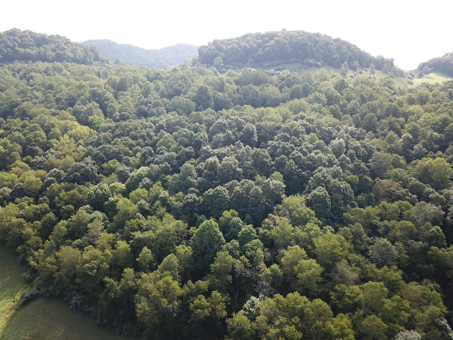 Image for SOLD $38,500 - 41 Acres off Hackers Creek