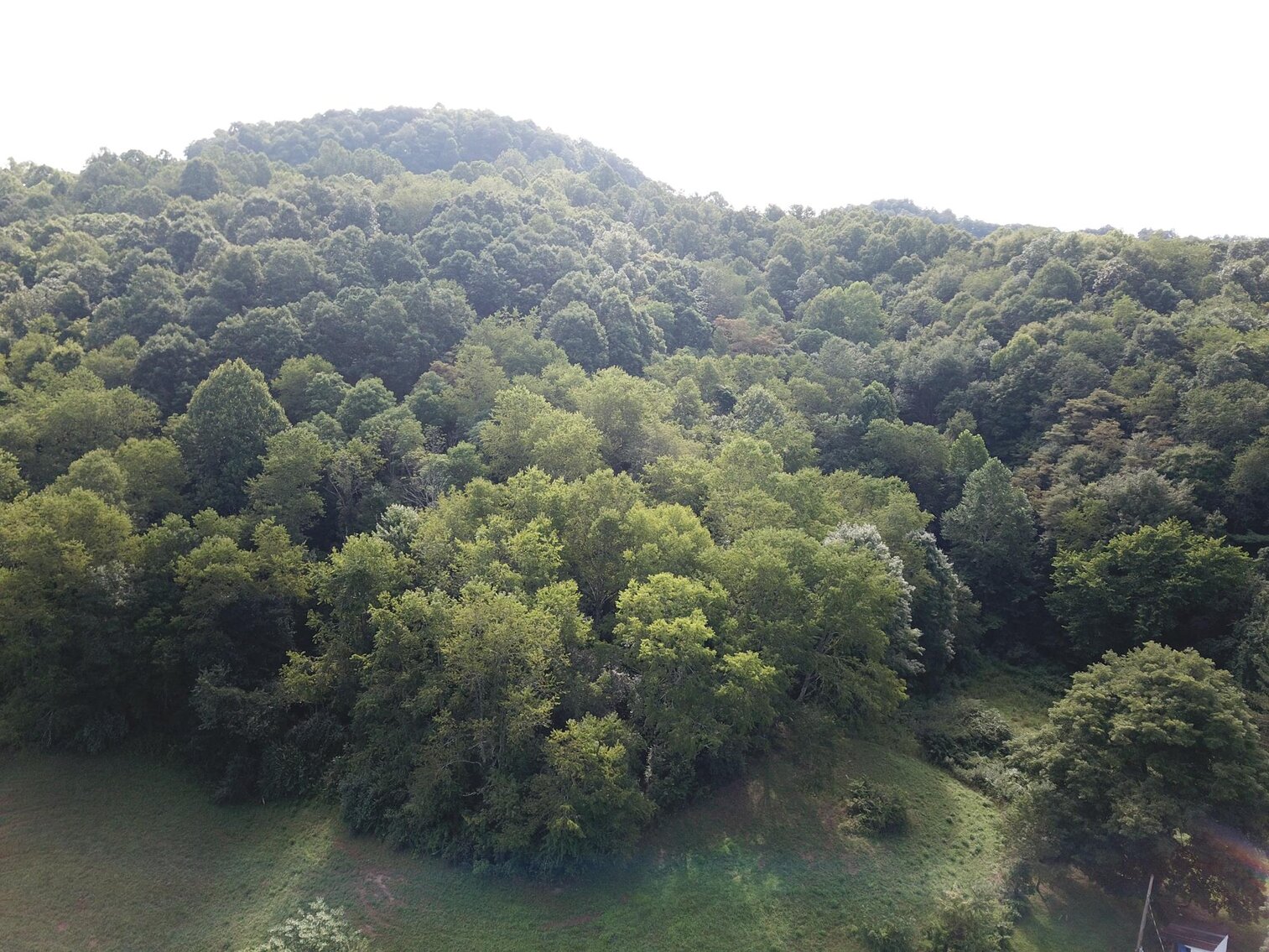 Image for SOLD $38,500 - 41 Acres off Hackers Creek