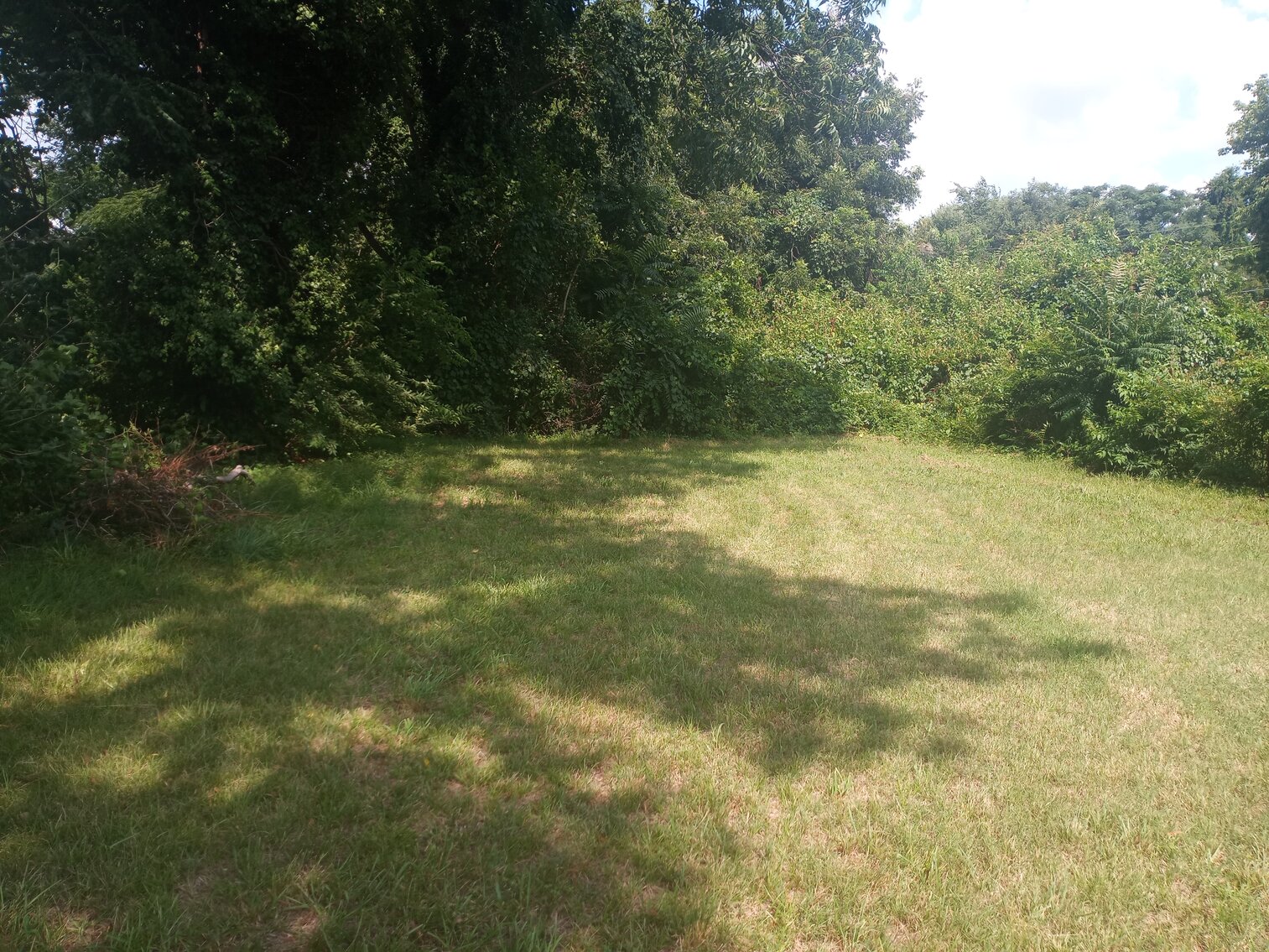 Image for 3 bed 1 Bath 1228 Sq. Single Family Home in Petersburg, Va