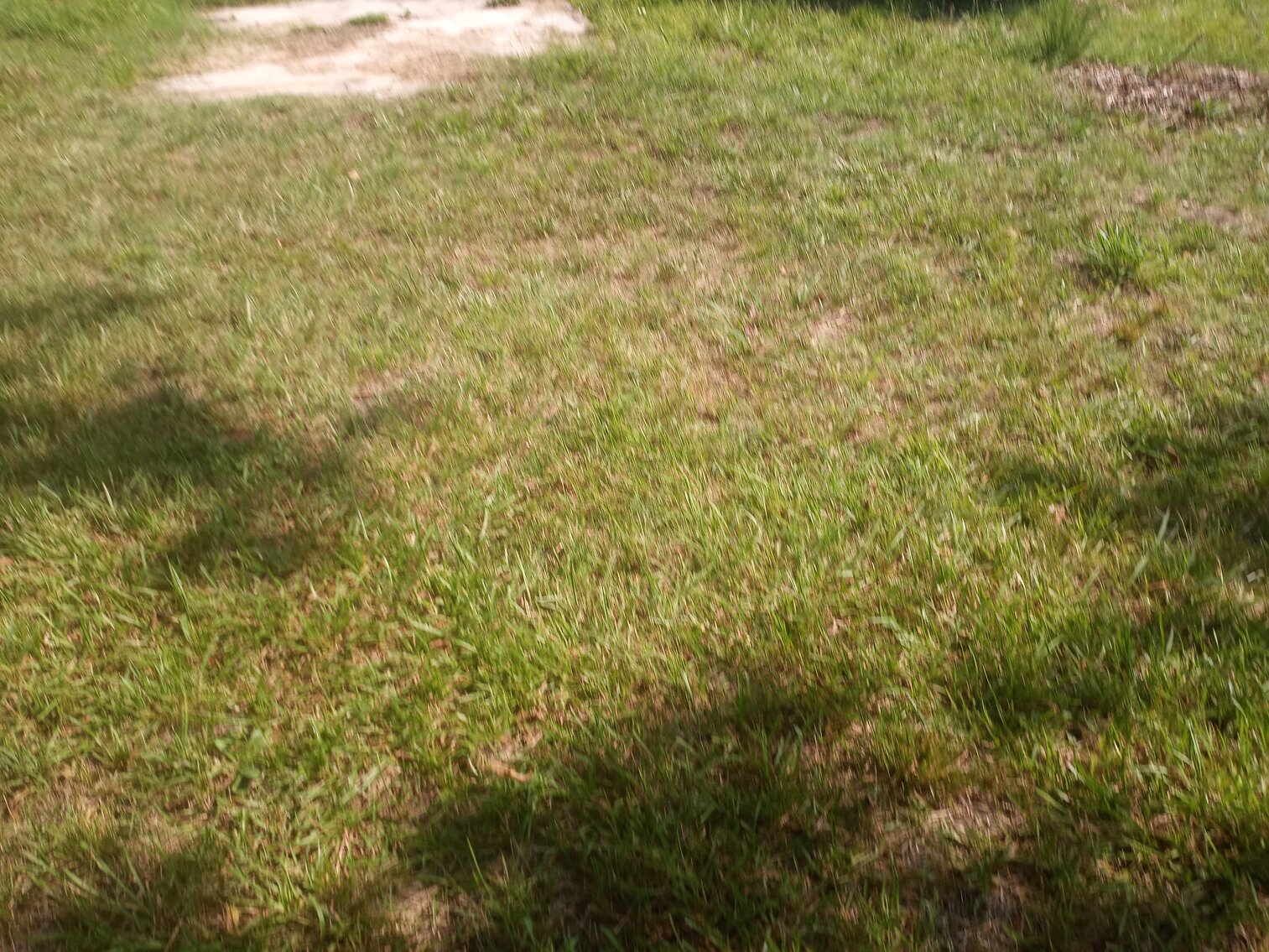 Image for 3 bed 1 Bath 1228 Sq. Single Family Home in Petersburg, Va