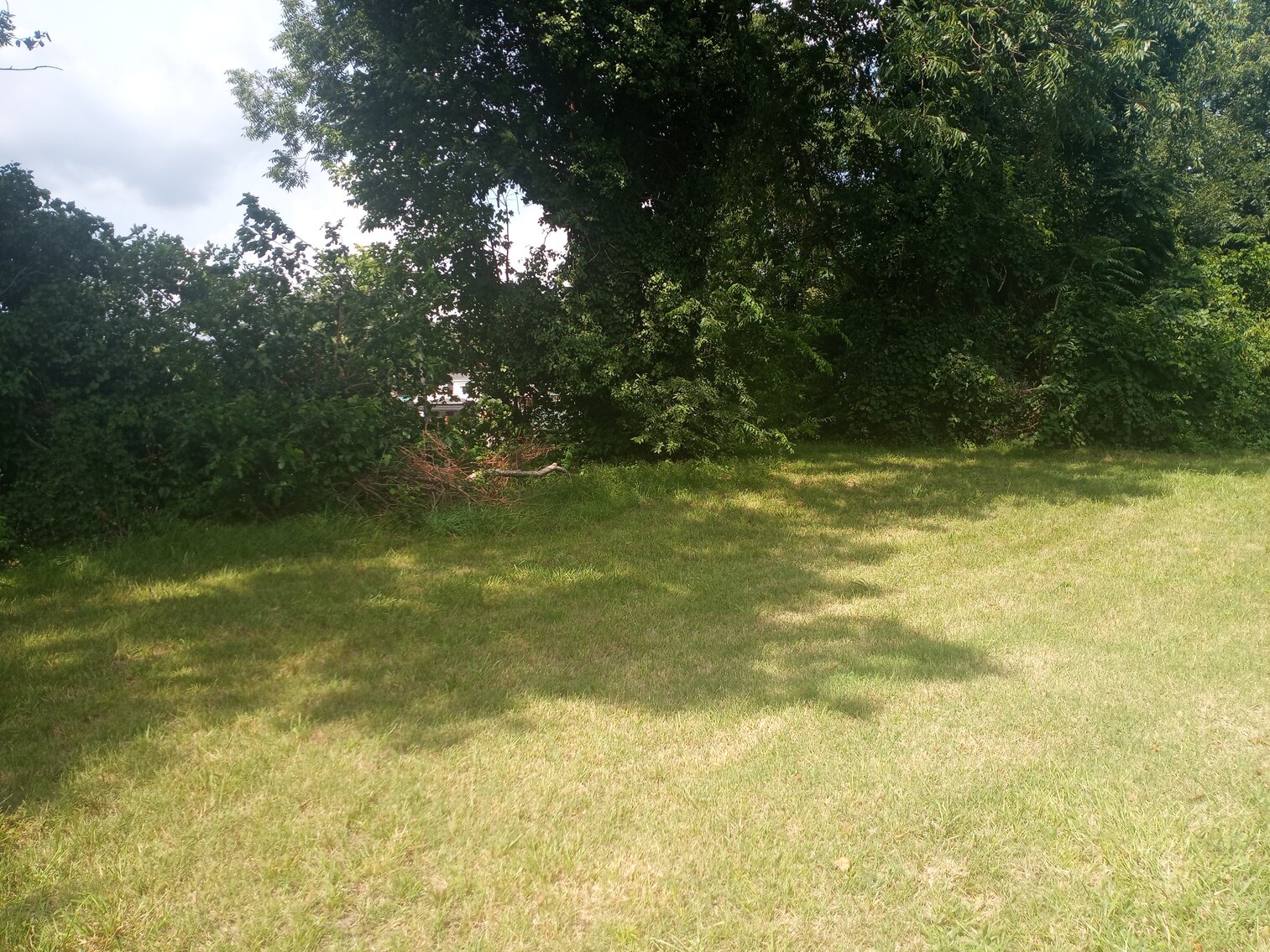 Image for 3 bed 1 Bath 1228 Sq. Single Family Home in Petersburg, Va