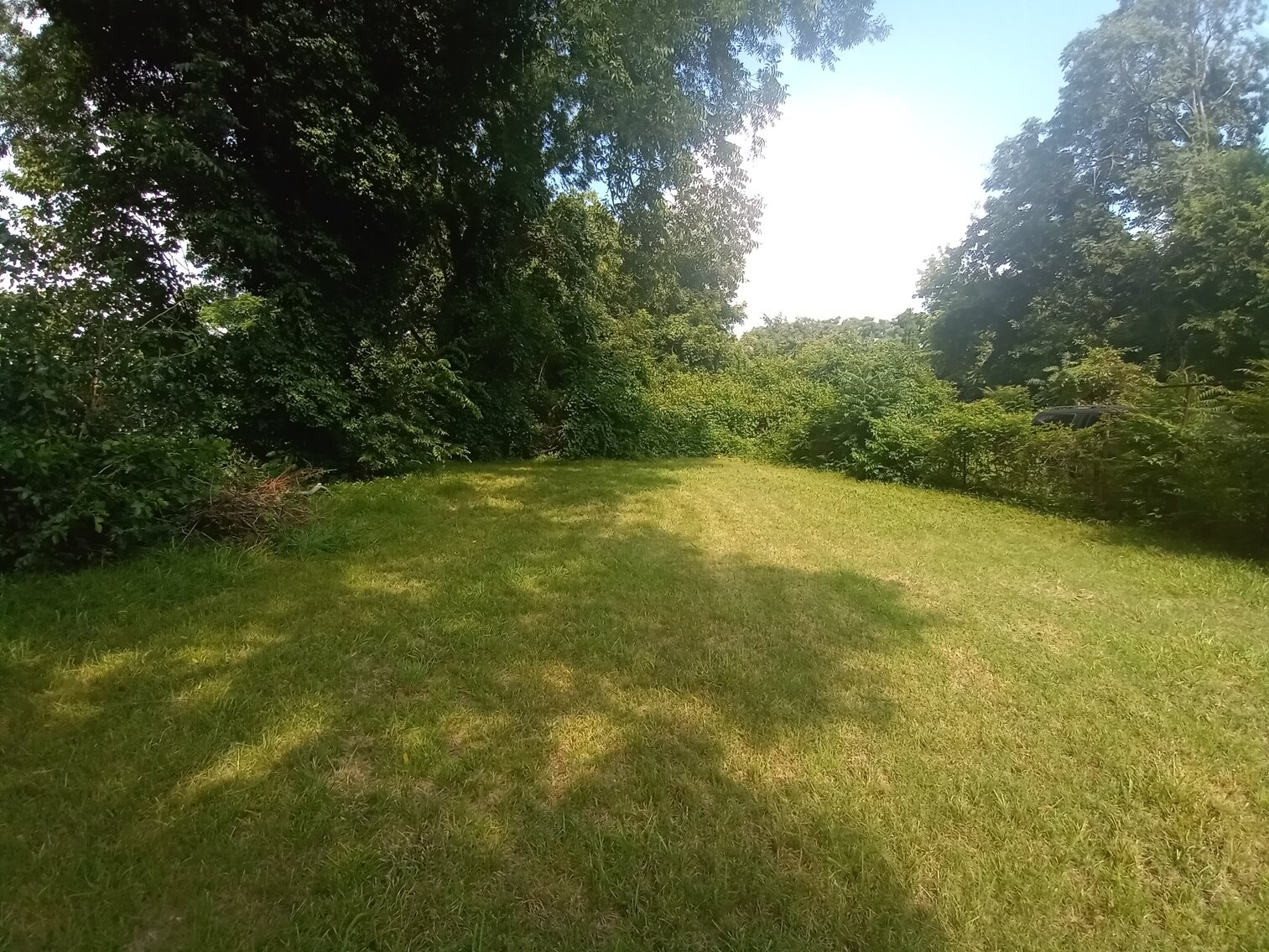 Image for 3 bed 1 Bath 1228 Sq. Single Family Home in Petersburg, Va