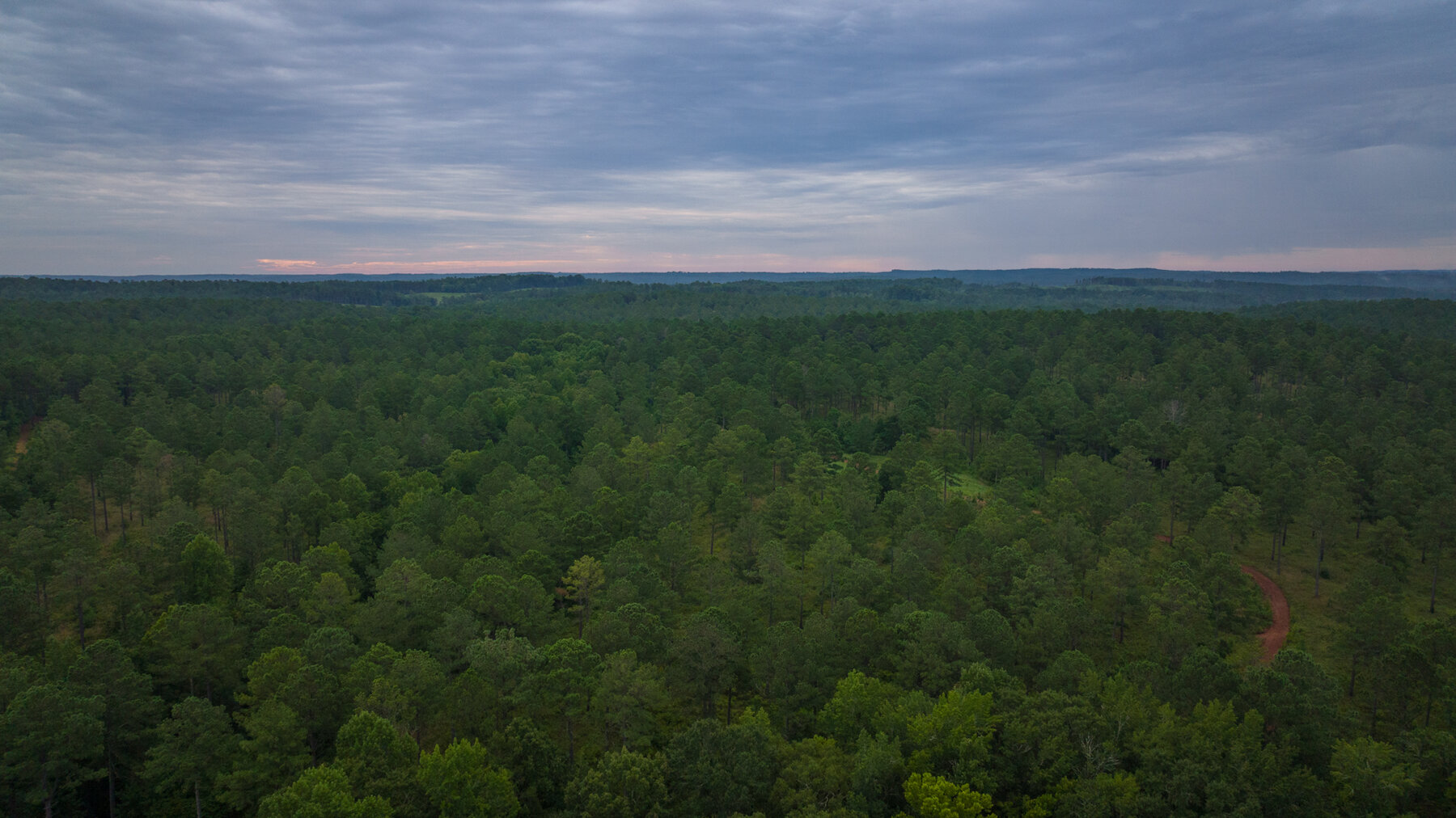 Image for Pioneer Farms: 660+/- Acre Pristine Timberland and Recreational Farm