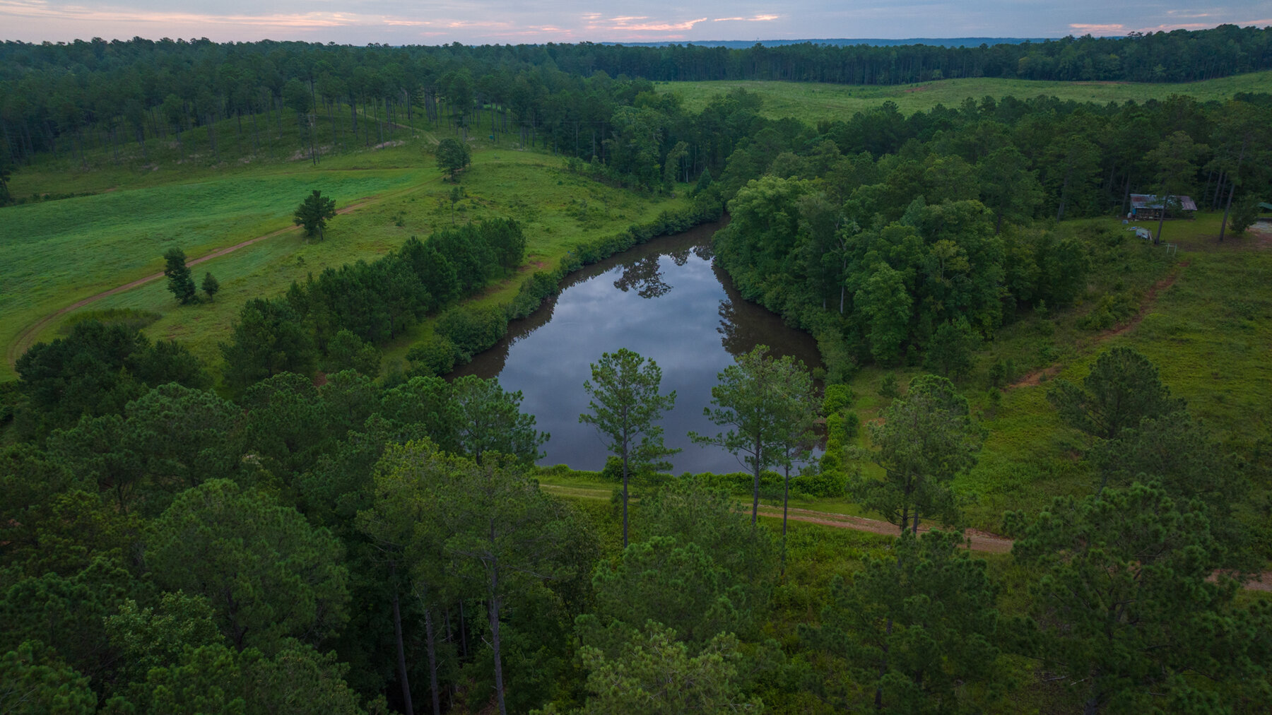 Image for Pioneer Farms: 660+/- Acre Pristine Timberland and Recreational Farm