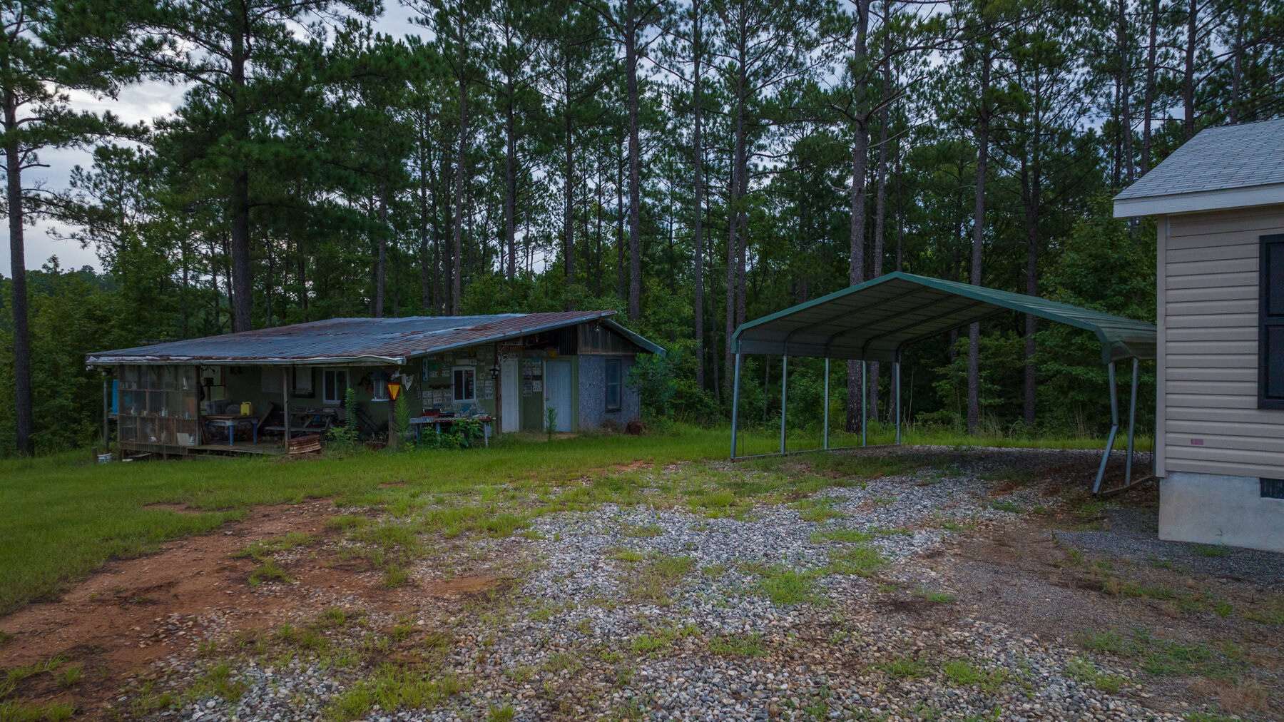 Image for Pioneer Farms: 660+/- Acre Pristine Timberland and Recreational Farm