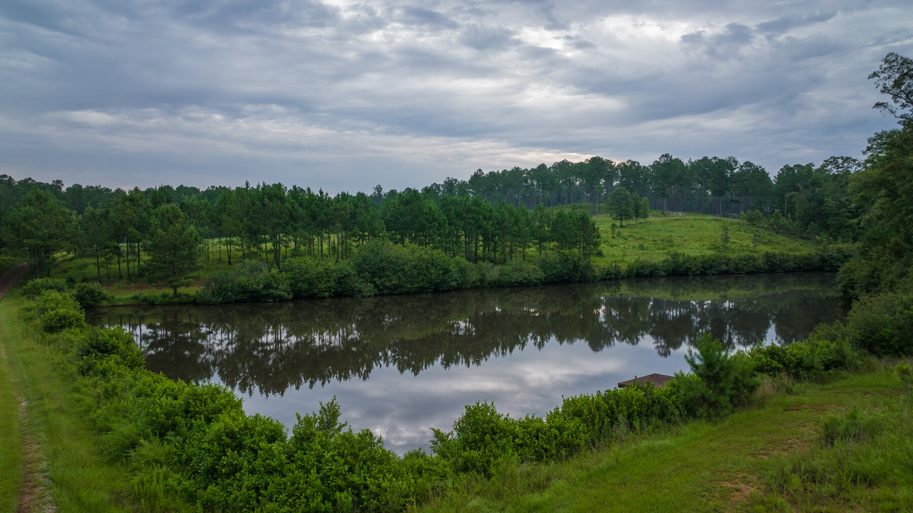 Image for Pioneer Farms: 660+/- Acre Pristine Timberland and Recreational Farm