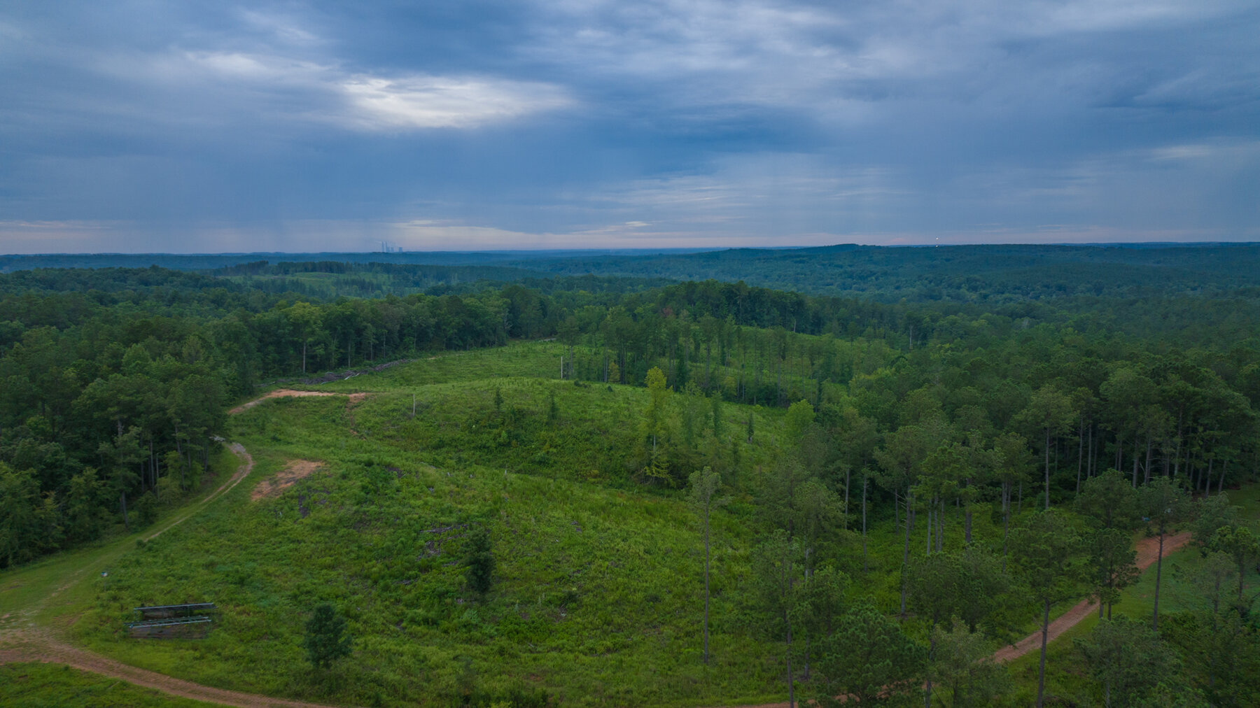 Image for Pioneer Farms: 660+/- Acre Pristine Timberland and Recreational Farm
