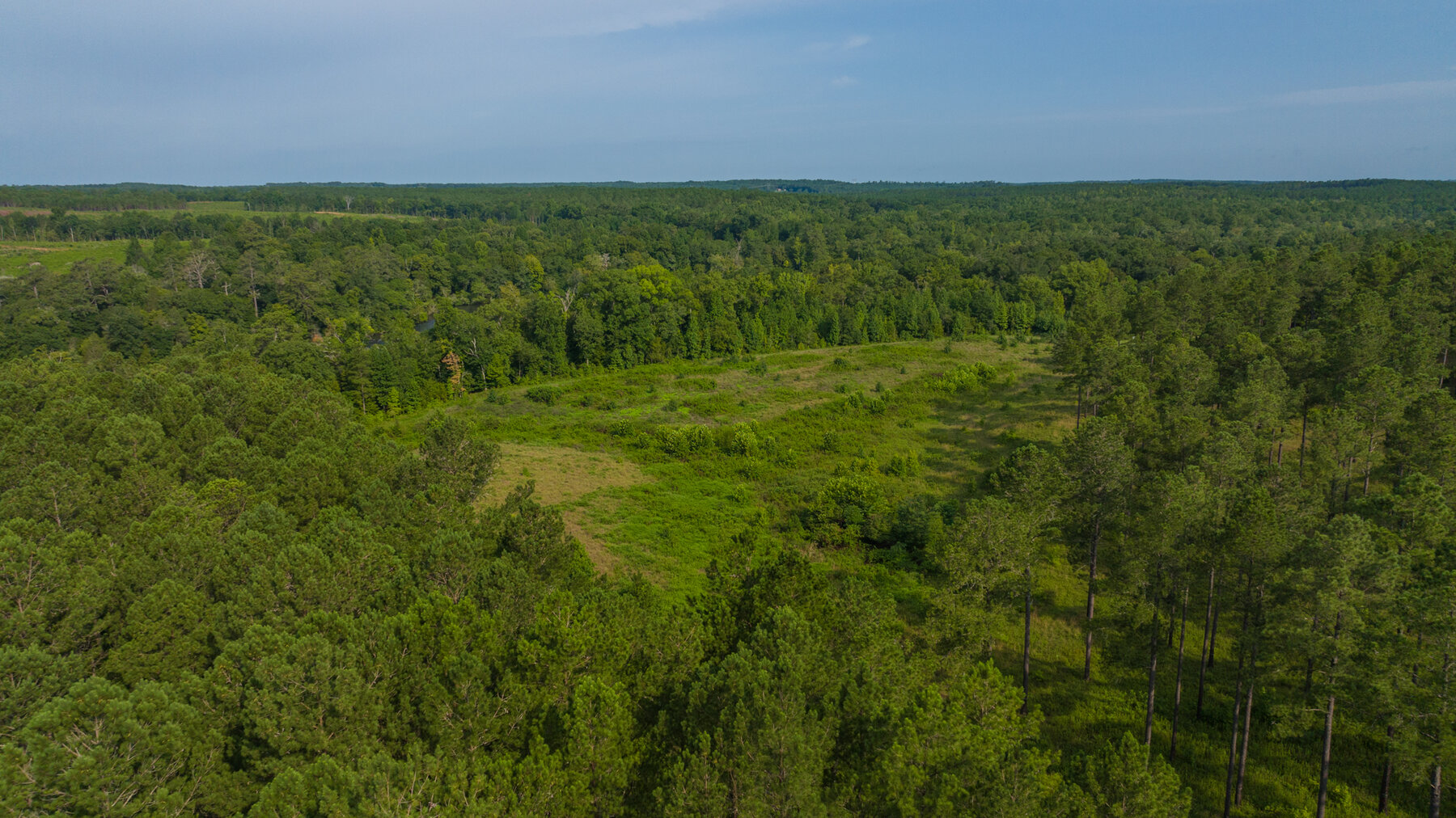 Image for Pioneer Farms: 660+/- Acre Pristine Timberland and Recreational Farm
