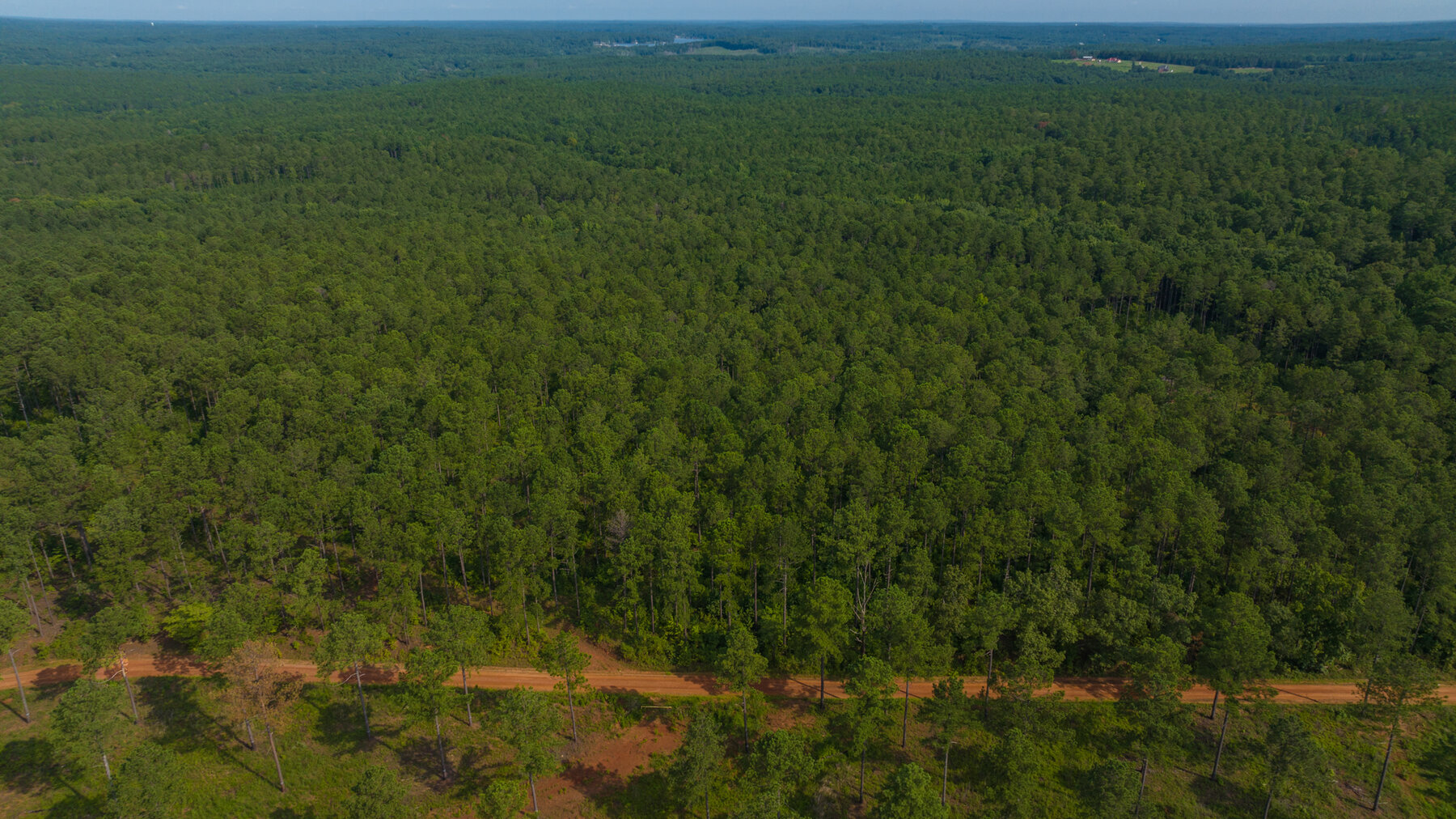 Image for Pioneer Farms: 660+/- Acre Pristine Timberland and Recreational Farm