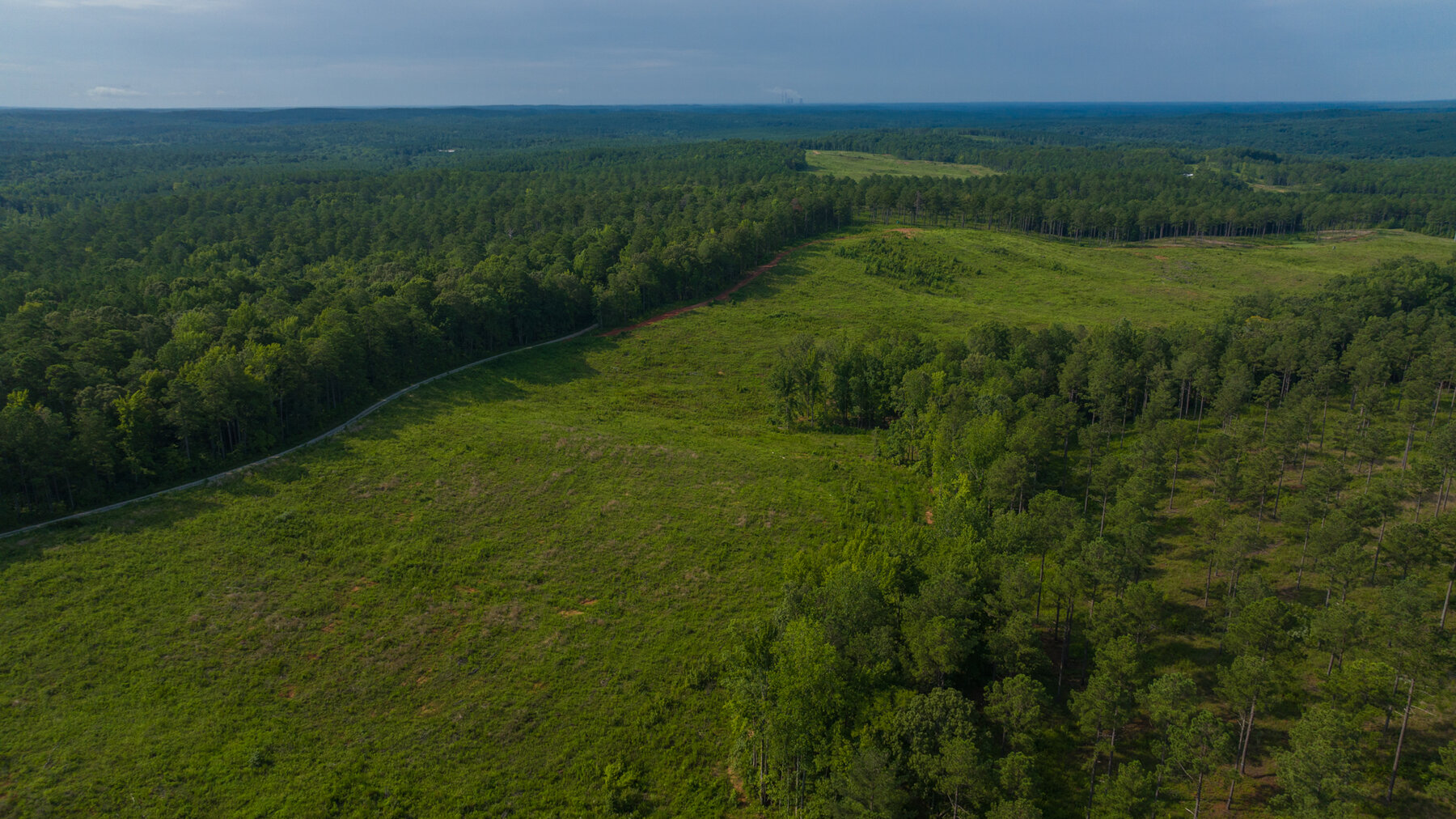 Image for Pioneer Farms: 660+/- Acre Pristine Timberland and Recreational Farm