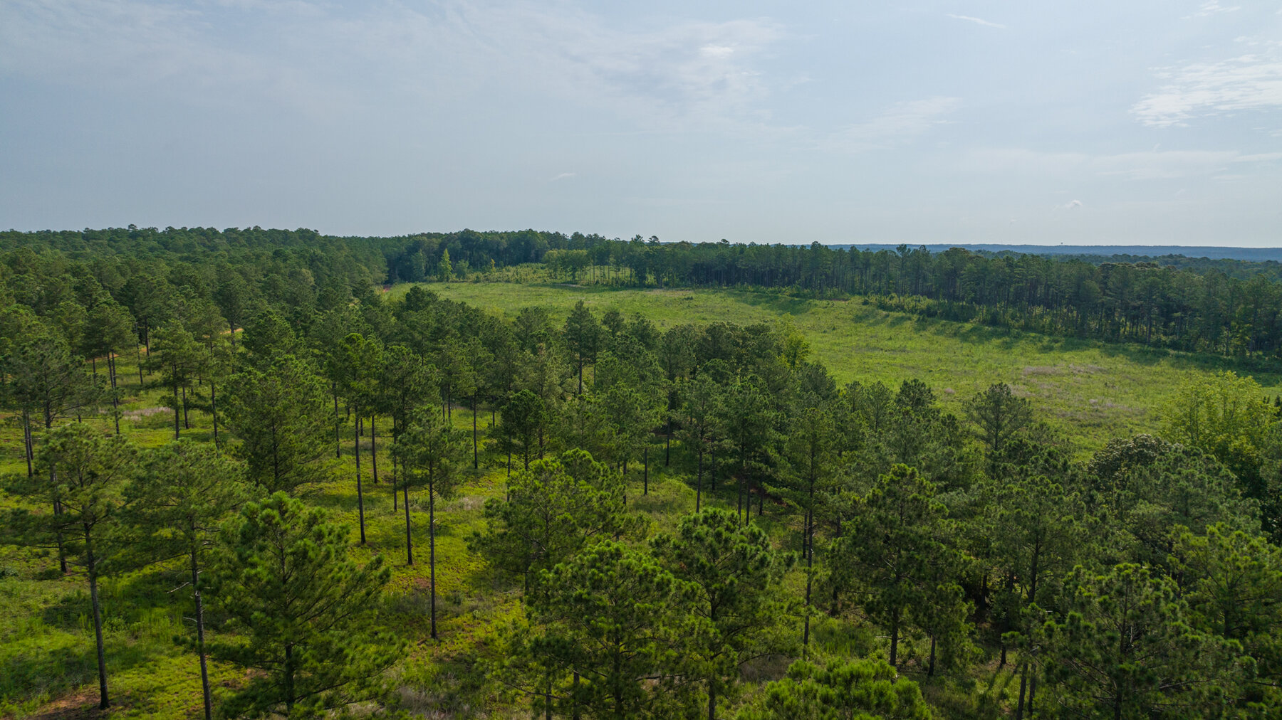 Image for Pioneer Farms: 660+/- Acre Pristine Timberland and Recreational Farm