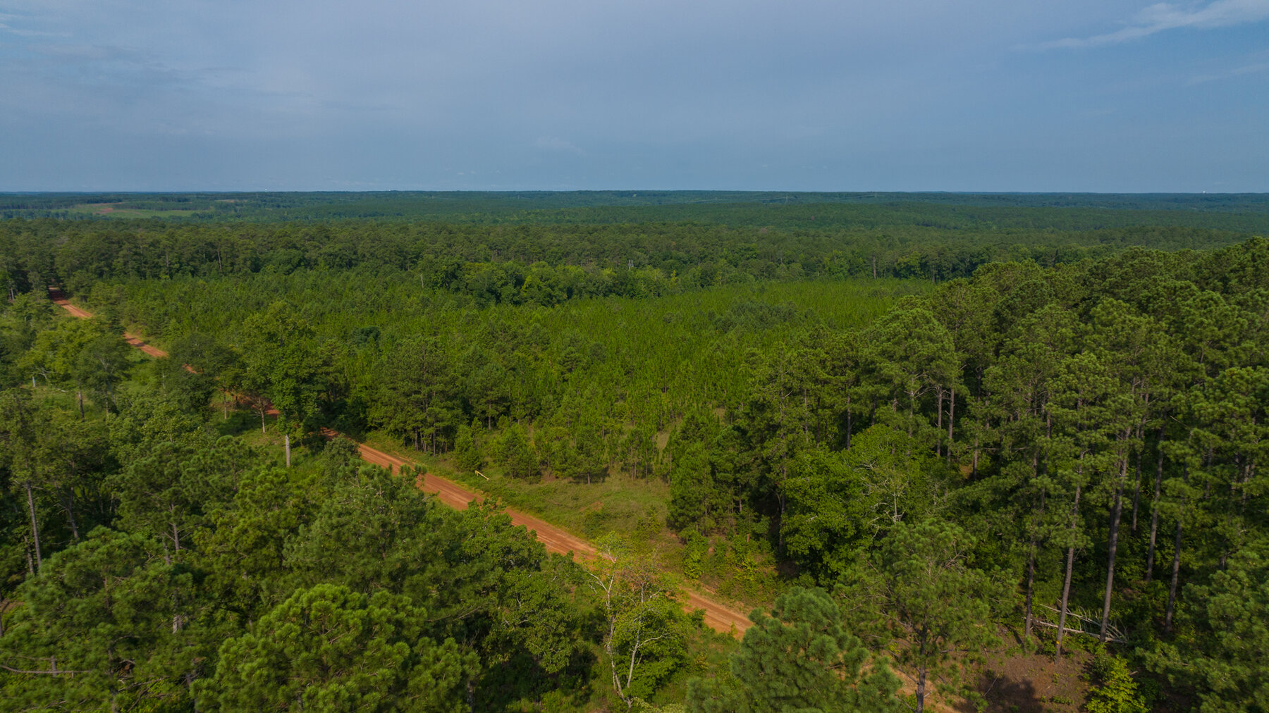 Image for Pioneer Farms: 660+/- Acre Pristine Timberland and Recreational Farm